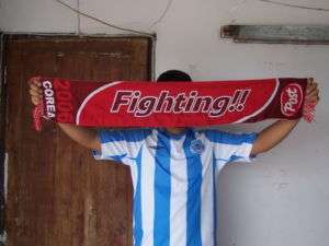 Used Korea Fighting Football Soccer World Cup 06 Scarf  