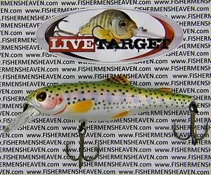   Jerkbait   3.5 BABY RAINBOW TROUT FRY   TP90S900 697713201871  