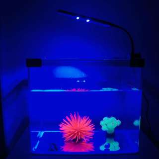 Multi Function 48LED BLUE White Fish Tank Aquarium LED LAMP Light 