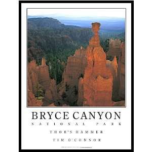      Bryce Canyon National Park, Utah, 18 x 24 POSTER by Tim OConnor