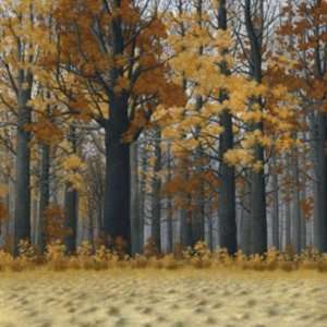  Timothy Artz 30W by 30H  Autumn Wood CANVAS Edge #3 3 