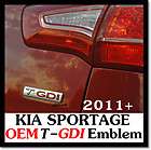 2011 KIA Sportage Chrome Door Garnish Molding Protector