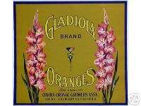 Original* GLADIOLA Flower IRIS Botanical Orange Crate Label NOT A 