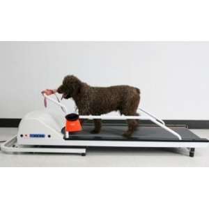  GoPet PR700 Dog Treadmill   For Dogs Up To 45 Pounds Pet 