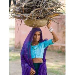 Woman Carrying Firewood on Head in Jungle of Ranthambore National Park 
