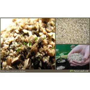  Nature Seeds Seed Starting / Gardening Germination Medium 