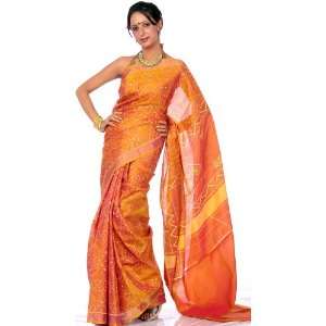  Amber Di chroic Gujarati Patan Patola Sari with Ikat Weave 