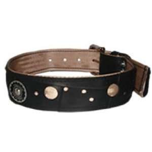  Dog Collar   (Medium) English Retreads