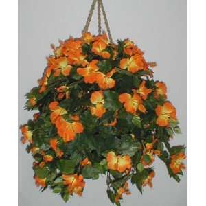  Orange Hibiscus Hanging Basket
