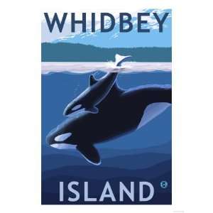  Whidbey Island, Washington   Orca and Calf Premium Poster 