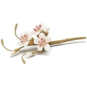  Sugared Cherry Blossom Floral Spray   Set of 12 Beauty