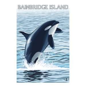   Island, Washington, Orca Jumping Premium Poster Print