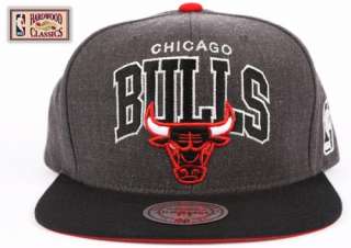   BULLS Mitchell & Ness NG73 Gray Arch Vintage NBA Snapback Hat  