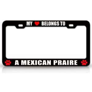 MY HEART BELONGS TO A MEXICAN PRAIRIE Dog Pet Steel Metal Auto License 