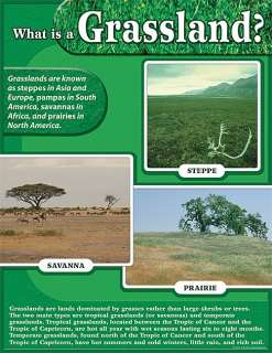 GRASSLANDS Grassland Biome Science Poster Chart TCR NEW  
