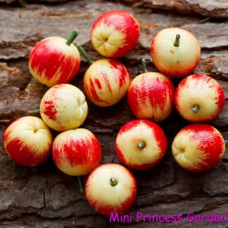 Dollhouse Miniature Clay Fresh Food Fruit Apple x4  
