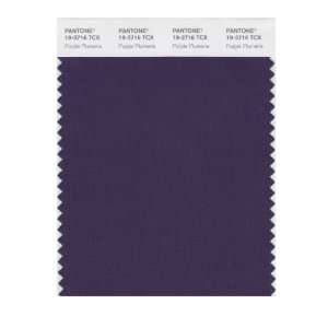  PANTONE SMART 19 3716X Color Swatch Card, Purple Plumeria 