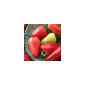  Pepper Mariachi Hybrid Seeds Patio, Lawn & Garden