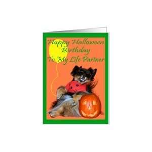 Birthday On Halloween To Life Partner, Pomeranian in bug costume with 