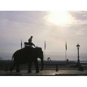 Elephant at the Royal Palace in Phnom Penh, Cambodia Photographic 