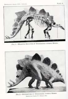 Smithsonian Institution Annual Report 1918 Stegosaurus, Sun Worshipers 