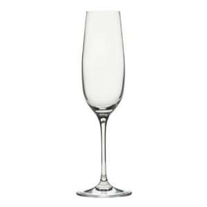   Clear Polycarbonate Stemware Champagne Glass   8 Oz