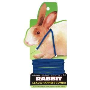  Rabbit Harness   Blue