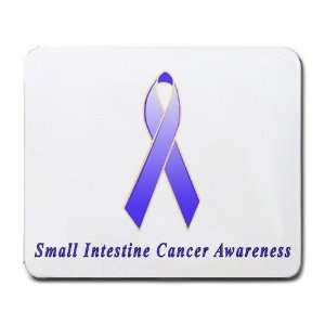  Small Intestine Cancer Awareness Ribbon Mouse Pad Office 