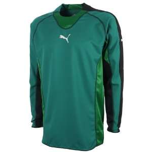  PUMA Mens Soccer Goalkeeper Jersey Shirt  70018102 Sports 