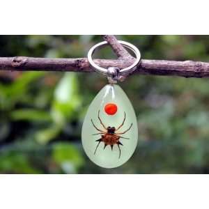   Keychain Jewelry Spiny Spider (Glow in the Dark) 