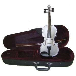   Violin with Case and Bow+Extra Set of String, Extra Bridge, Rosin