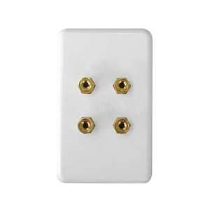   WALL PLATE Easily connect audio speakers using in wall cable routing