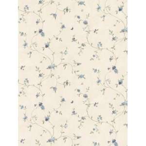  Wallpaper Patton Wallcovering Silk and Shimmer St25235 