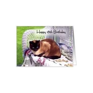   18th Birthday, Siamese cat on white wicker chair Card Toys & Games
